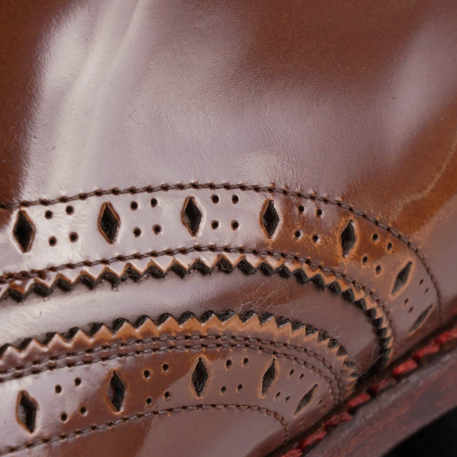 Jeffery West Falcata - Etam 5 Jeffery West Falcata - Etam - Image 5